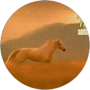 Κωνσταντίνος Σπανίδης profile picture